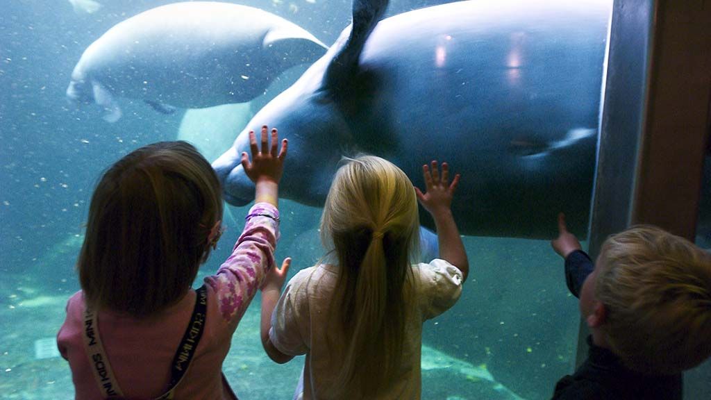 Odense Zoo
