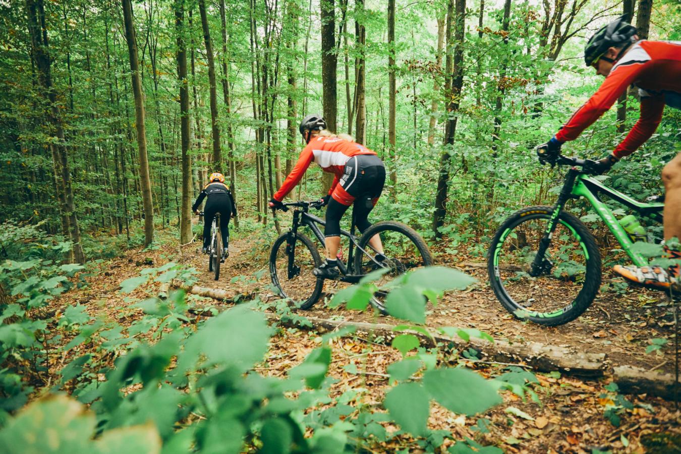 MTB i Hannerup Skov