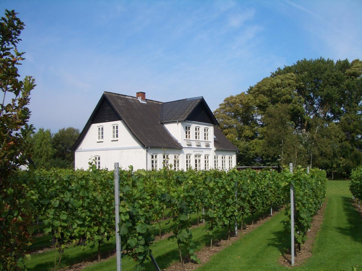 Lindely Vingård
