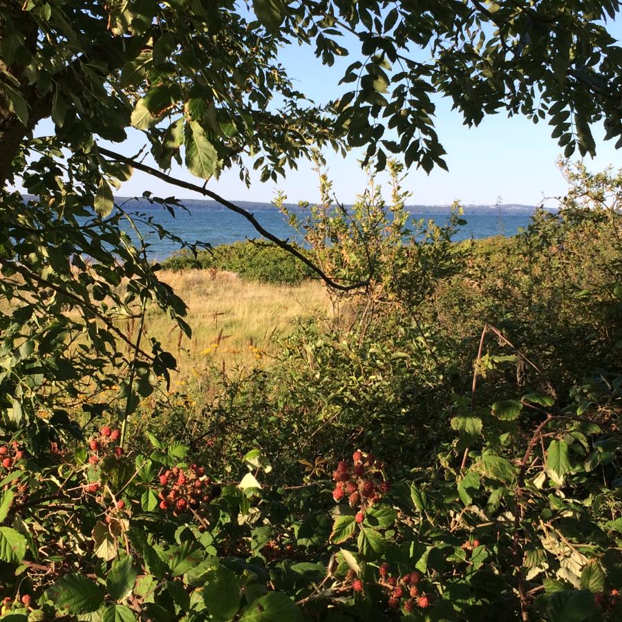 Spis Lillebælt tur