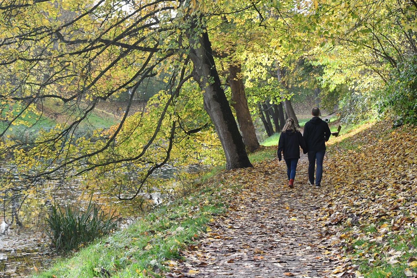 Fredericia-Vold