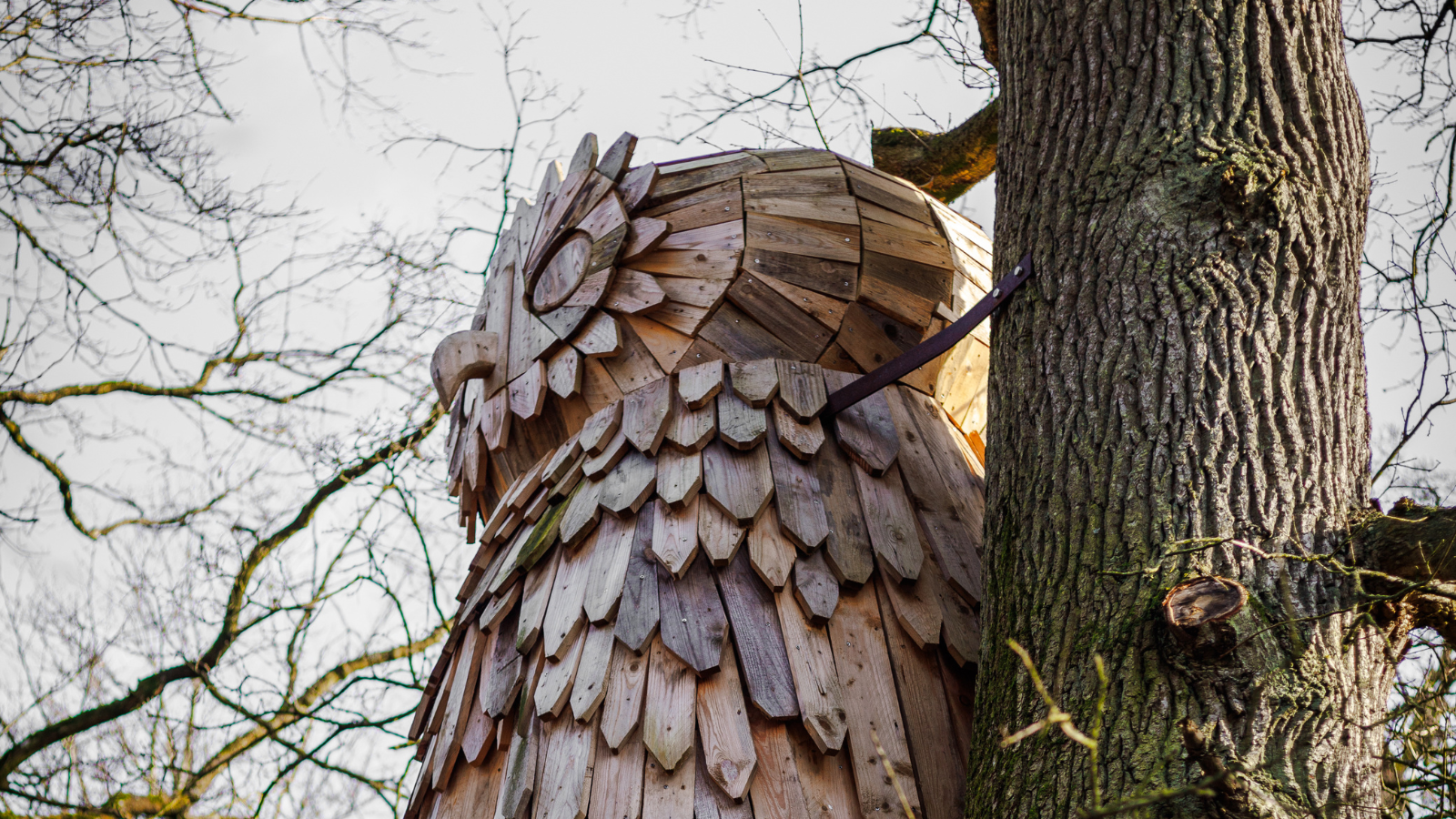 Træskulptur af ugle i Fuglsang