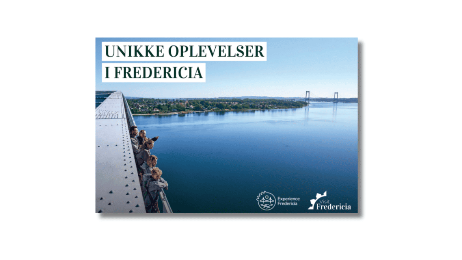 Gruppekatalog