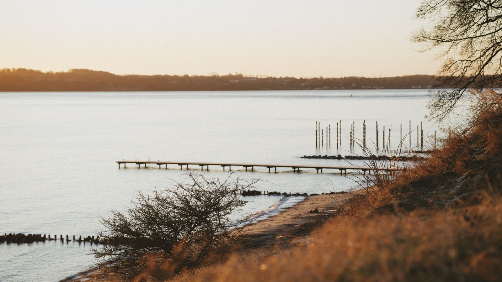 Østerstrand i solnedgang