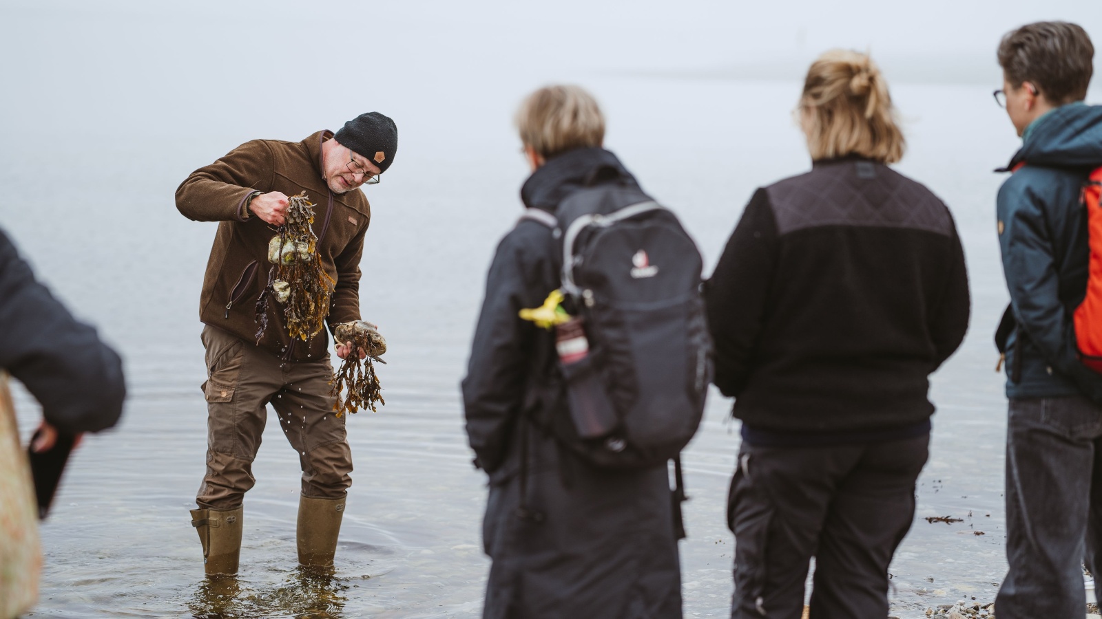 Guidet sanketur med naturguide.