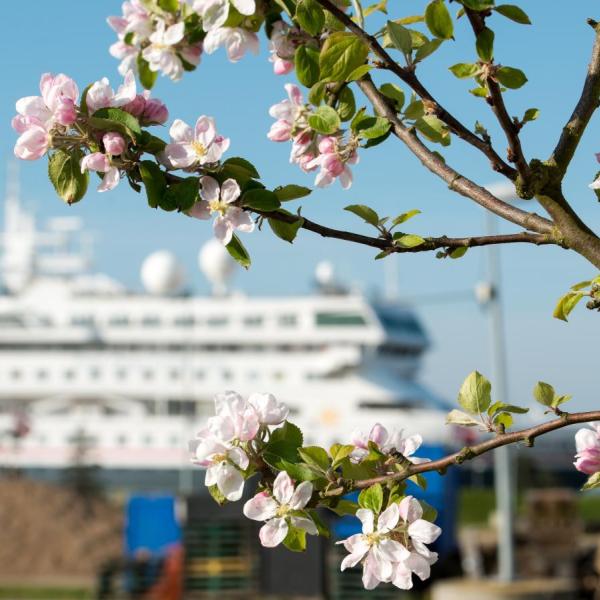 krydstogtskib på Fredericia havn