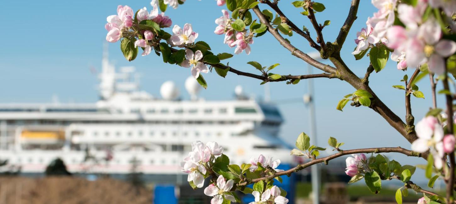 krydstogtskib på Fredericia havn