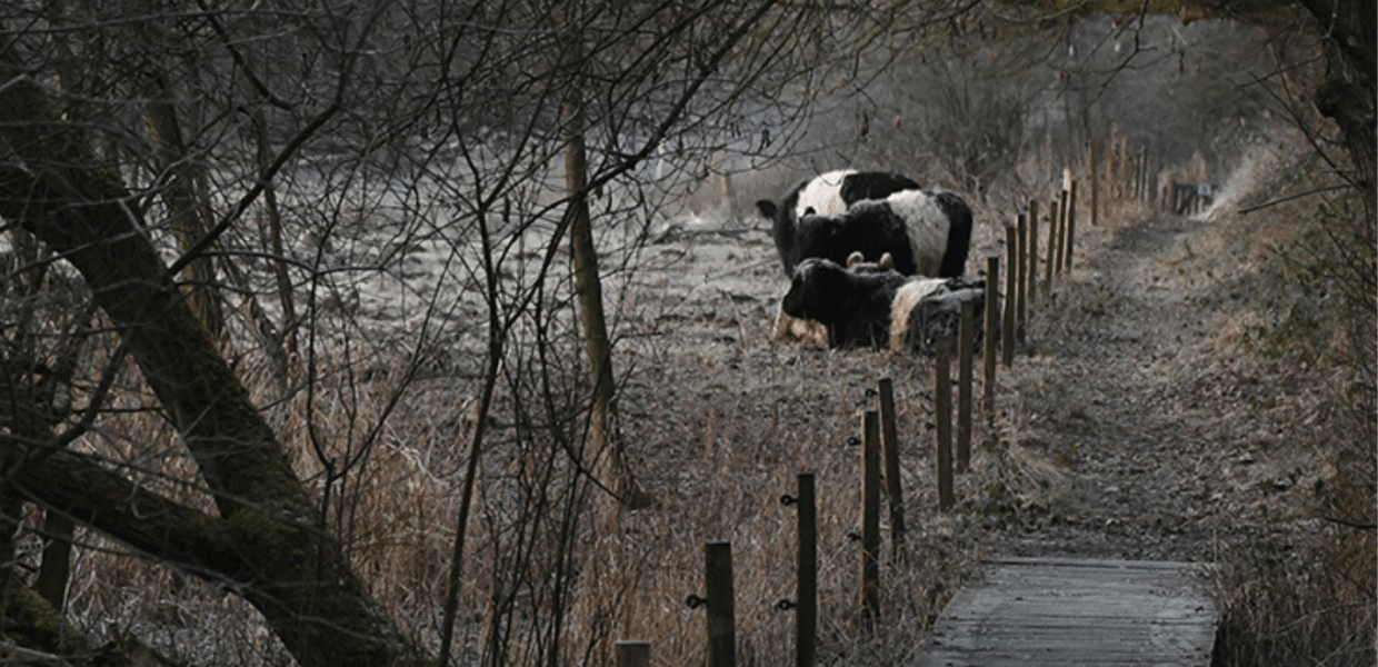 Nyd bl.a. naturen nær Erritsø mose