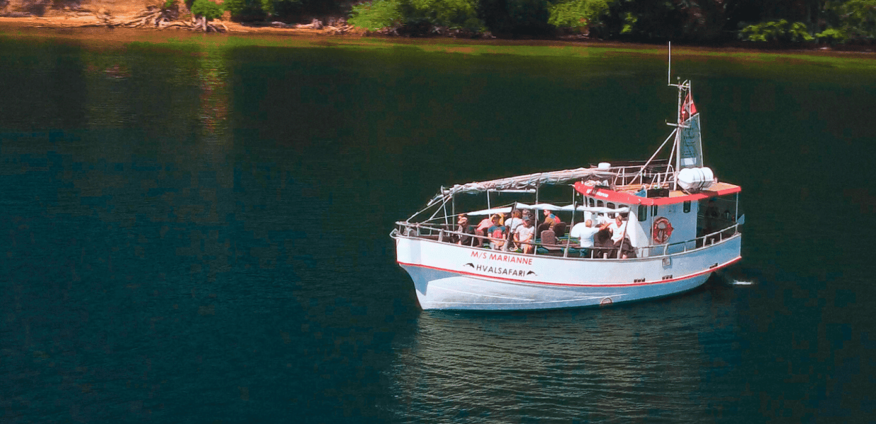 MS marianne sejlture i Fredericia