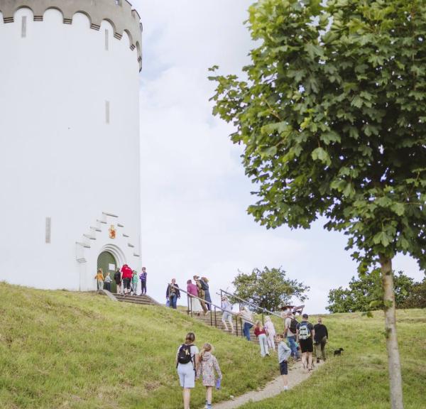 Gruppe på guidet tur