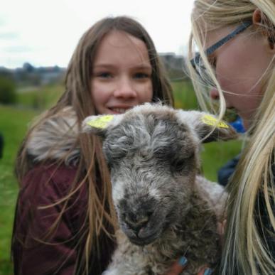 Børn med et lam i Madsby Legepark 