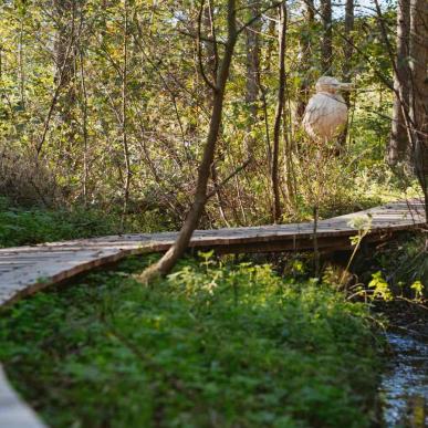 Boardwalk i Erritsø Mose. I baggrunden ses træskulpturen isfuglen