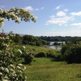 Snoghøjgaardparken