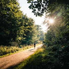 Mand på vandretur i naturen
