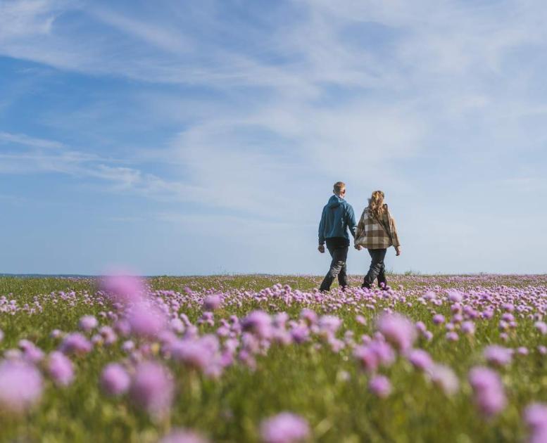 Udforsk Trelde Næs om foråret